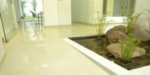 Crema Marfil Marble