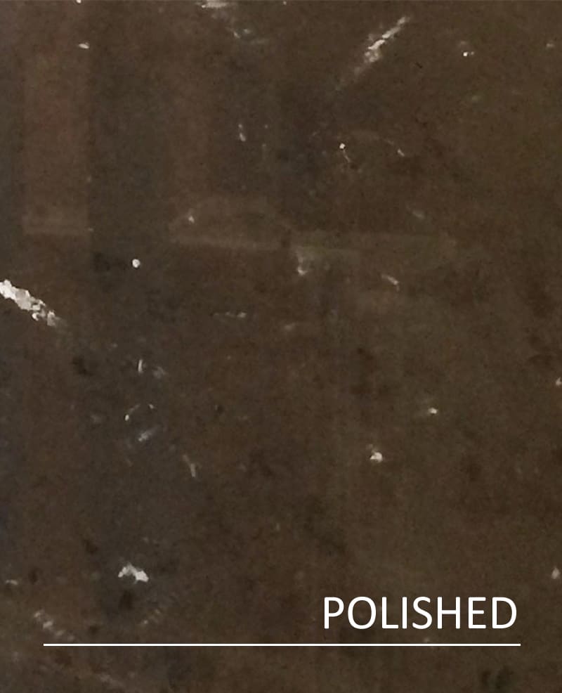 Jurassic Limestone Archives Authentic Stone